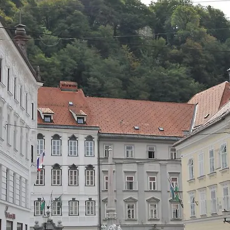 Tiny Nika 아파트 *