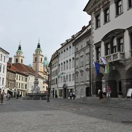 Tiny Nika Апартаменты Любляна