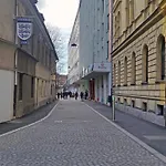 Tiny Nika Laibach