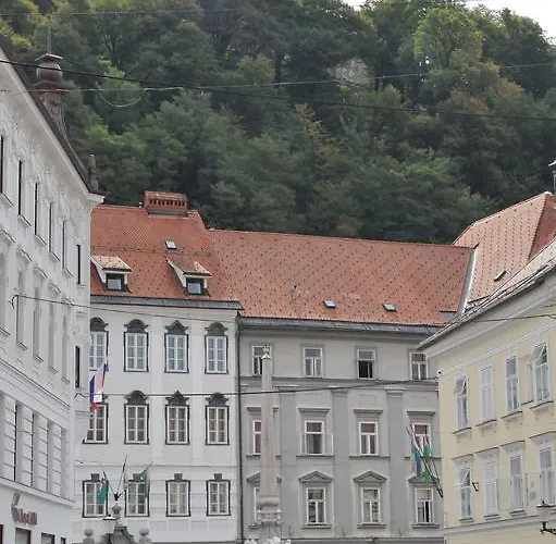 Tiny Nika Apartament *